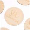 Kisangel 12 pcs Monthly Milestone Signs Wooden Round Markers for