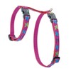 Lupine H-Style Pet Harness, 12-Inch to 20-Inch, 1/2-Inch, Wing It