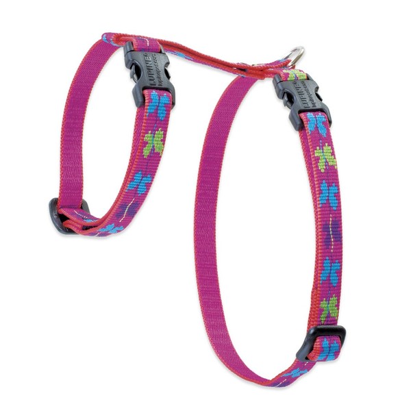 Lupine H-Style Pet Harness, 12-Inch to 20-Inch, 1/2-Inch, Wing It