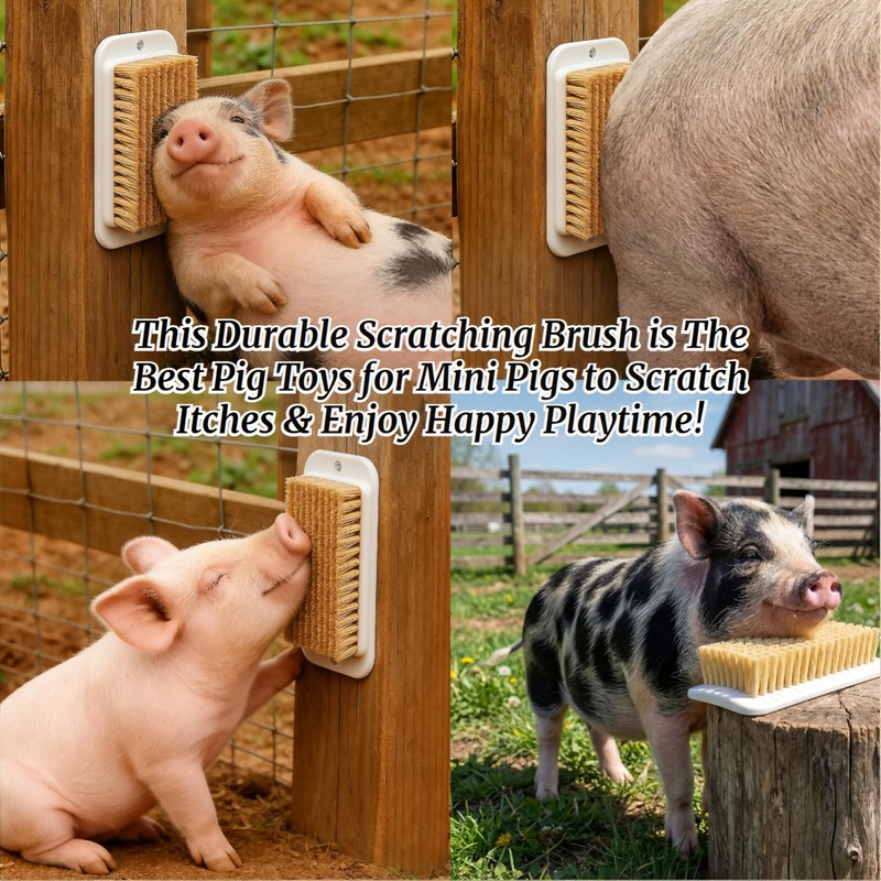 Toys for Pigs - 3-Pack Interactive Grooming Brushes | Pig