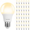 BUBO 48 Pack A19 LED Light Bulbs, 40 Watt Equivalent
