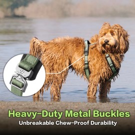 PawsPassion Dog Harness for Medium Dogs, Chew-Proof Metal Hardware, Easy Walk Dog Harness, Ergonomic Y-Shaped Design, Soft Padding, Padded Handle, Durable High-Tensile Nylon (Evergreen, M)