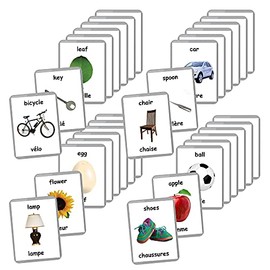 French English Bilingual Flash Cards | Learn French Language | Montessori Cards | Choose Your Set (Insects)