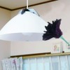Azuma Feathers Ostrich Feather Duster Feather Duster 40 ag713