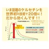 グズピタ サプリメント ケルセチン 20倍吸収 ケルセフィット 乳酸菌生産物質 酪酸 酢酸 鼻 づまり