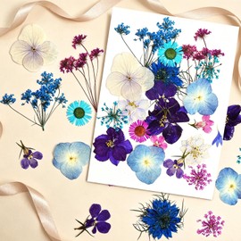 Fiori Secchi, Fiori Pressati, Fiori Secchi Pressati 2 Confezioni ca. 40 Fiori Secchi per Resina, Fiori Pressati Secchi Naturali per Biglietti, Segnalibri, Cornici, Gioielli DIY