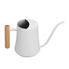 Stainless Steel Watering Can Pot Retro Small Plant Watering Can