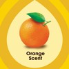 Pledge Wood Oil, Expert Care, Trigger, Orange Scent, 16 oz