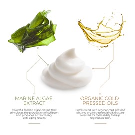 Wonder Epicollagen Serum 45g | Premium Anti-Aging Collagen Serum | Naturally Stimulate Collagen Production | Marine Algae Extract | UK Made