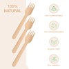 GoCoPack Wooden Cutlery: Pack of 200 Disposable Wooden 16cm Forks