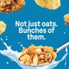 Honey Bunches of Oats with Almonds Breakfast Cereal, Honey Cereal
