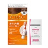【Gray Hair Dye】 Cielo Hair Color EX Milky 2 (with