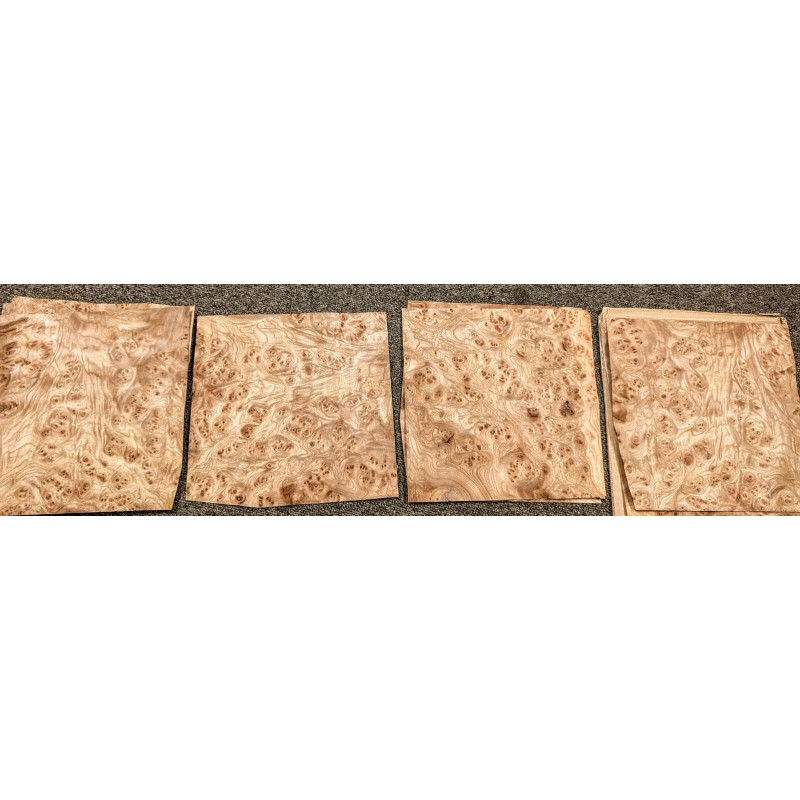 Carpathian Elm Burl wood veneer 9" x 9" raw no