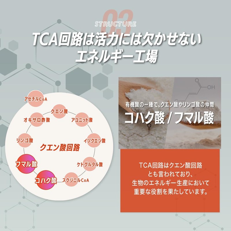 【新処方】酢酸菌酵素 配合 リボーン (Re;BONE) 高吸収 クルクミン クルクルージュ 飲み会 サプリ 5日分