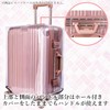 Remarks Japan Cute Carry-On Luggage Cover Stylish Transparent Small Waterproof