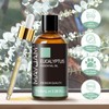 MAYJAM Essential Oil Eucalyptus Aroma Oil Natural 100% Pure Oil