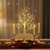 NXUEBDU 2ft Lighted Birch Tree with 144 Warm White LEDs