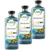 Herbal Essences Pure - Repair Shampoo with Moroccan Argan Oil,