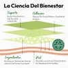 VERDORA Parches Aromáticos de Lavanda para Uso Externo, 18 Unidades