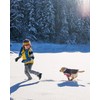 Winter Dog Boots & Paw Protectors: Outdoor Anti-Slip Dog Snow