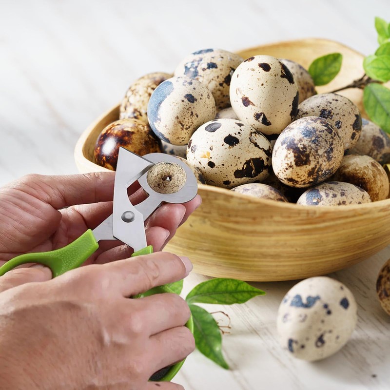 Dokeno Quail Egg Scissors 6 Pieces, Stainless Steel Quail Egg