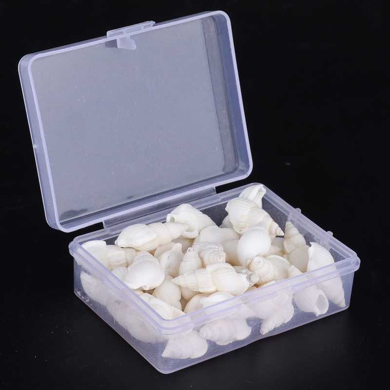 Caracol de mar decoración, caracol de mar buen rendimiento para