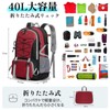 RAINSMORE Men's Backpack, Folding Backpack, 10.6 gal (40 L), Mountain