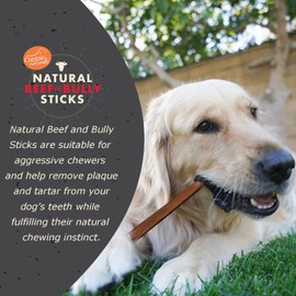 Canine Naturals | Natural Beef & Bully Sticks | 48 Count | Long-Lasting, Odor Free, High Protein Chews Made with 100% Real Bully | Bulk Carton Large Sticks