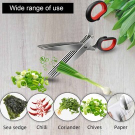 5 Blade Herb Scissors Kitchen Herb Shears Cutter Multipurpose Cutting Shear with 5 Stainless Steel Blades & Safety Cover & Cleaning Comb Salad Sizzors Cilantro Chive Parsley Onion Scissors (Black Red)
