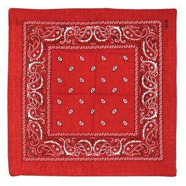 Red Bandana Party Accessory (1 count)