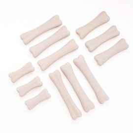 Yellow Door YUS1038 Dinosaur Bones Discovery Set (Pack of 12),White