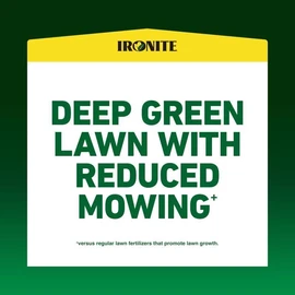 Ironite 100519461 10M Ii, 30 lb