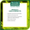 Thursday Plantation Australian Tea Tree Oil, Naturally Sourced Oil, Cleanses