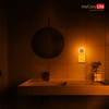 Amber Night Light Plug in, Dusk to Dawn Sensor, Blue