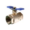 Brass Backflow Ball Valve 3/4 in. FPT | BBVB-075