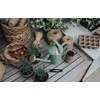 ho-zu (Haws), Watering Jug heriteizikan 1 Quart [Made in UK