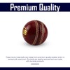 Splay Academy Red Cricket Ball Senior Adult Balls Leather Club