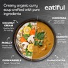 EATIFUL Curry Soup, Made With Organic Vegetables, Thai Ready To
