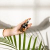 Postquam Capsule Lab Aceite Facial 30 Ml Hidratante Todo Tipo