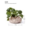 SEINHIJO Indoor Planter Ceramic Pot Flower Gifts Succulent Cacuts Decor
