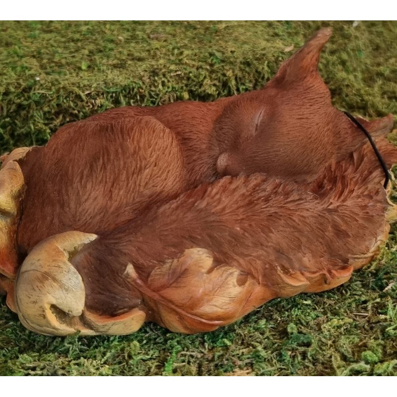Vivid Arts Sleeping Baby Red Squirrel in Leaf | Resin