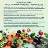 NFO Multi-Vit Energy [180 Hardgel Capsules] Natural High-Dose Complex from