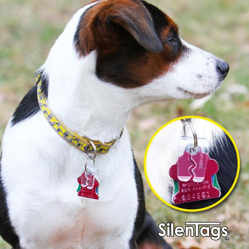 SilenTags Pet Tag Silencer Clip It On, Jingle's Gone! -Clear