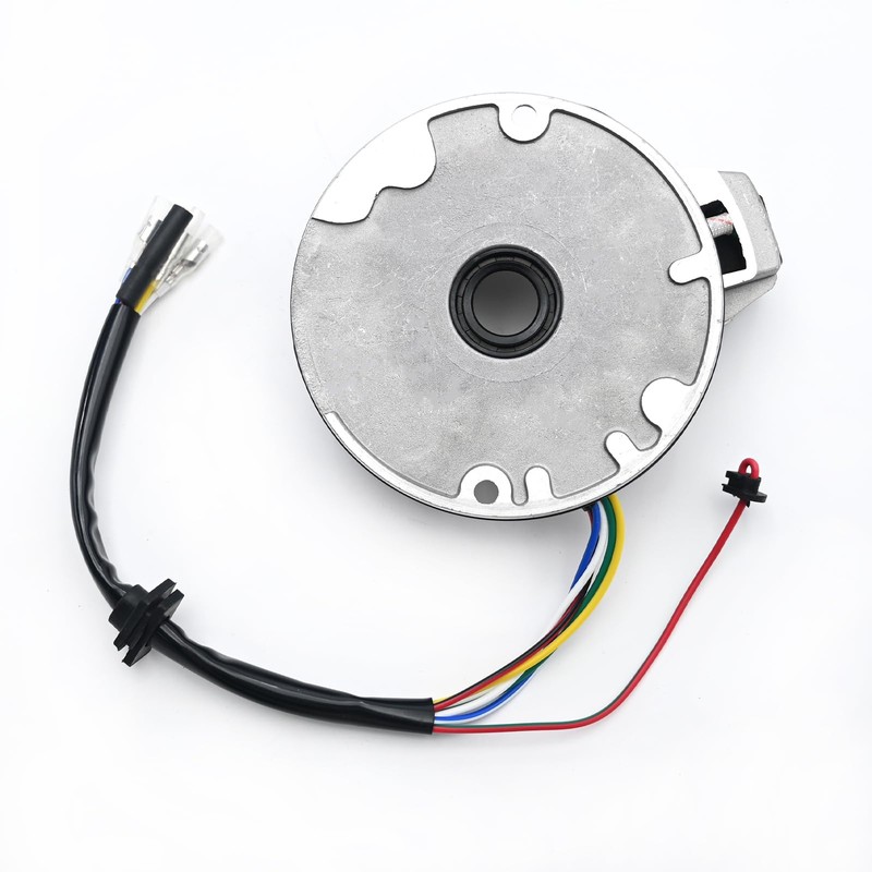 EATAKWARD SSR 125 Stator 2 Coil Magneto Stator Replacement for