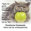 Cystassist, Feline Urinary Tract Supplement, Support for Cats of All