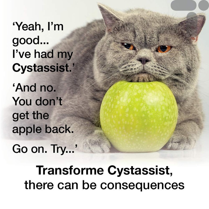 Cystassist, Feline Urinary Tract Supplement, Support for Cats of All