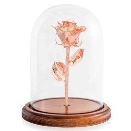 Forever Rose Enchanted Rose, Genuine One of a Kind Beauty and The Beast Rose, Hand Dipped in Rose Gold & Preserved in Glass Dome, Assembled by Hand in The USA