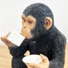 Alfie Francis 17.5cm Tall Cheeky Tea Drinking Monkey Ornament Figurine