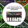 PURE AROMA Set de aceites esenciales 100% puros - 6