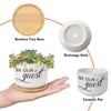 DecStic Be Our Guest Ceramic Planters Bible Verse Planters for